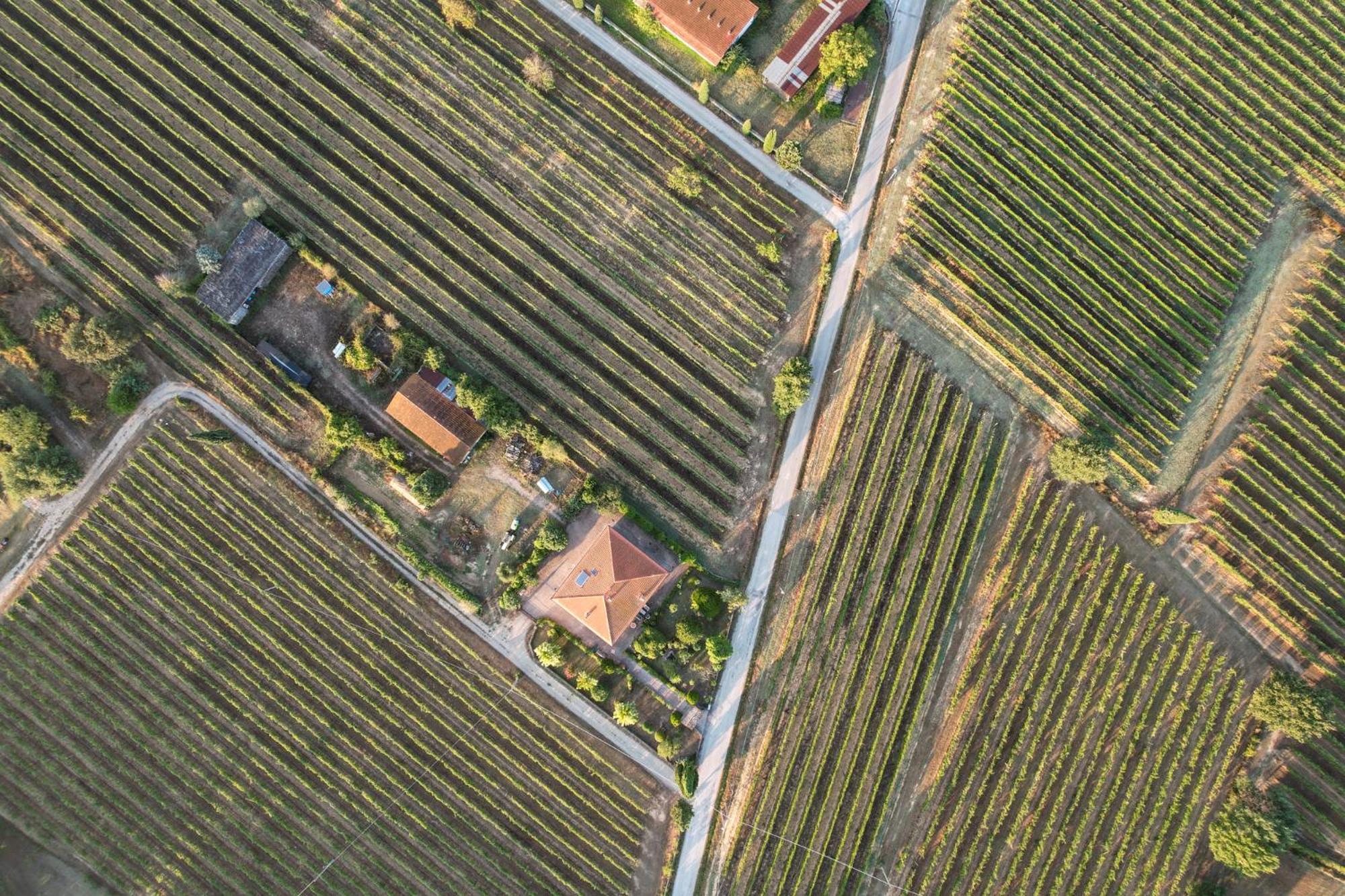 Cappannelle Country House Tuscany Castiglion Fibocchi Exterior foto