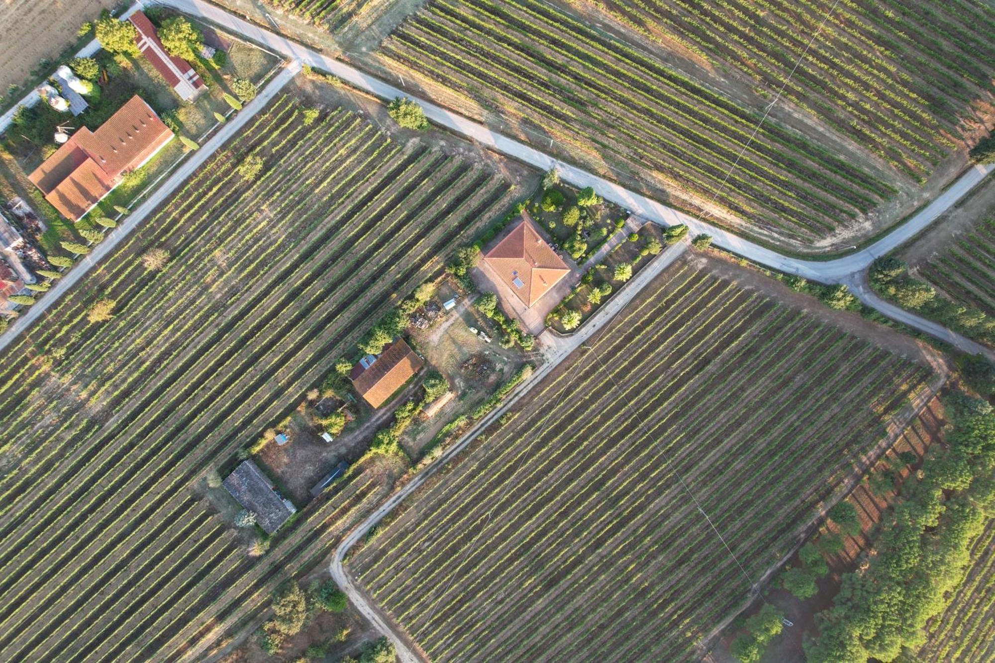 Cappannelle Country House Tuscany Castiglion Fibocchi Exterior foto