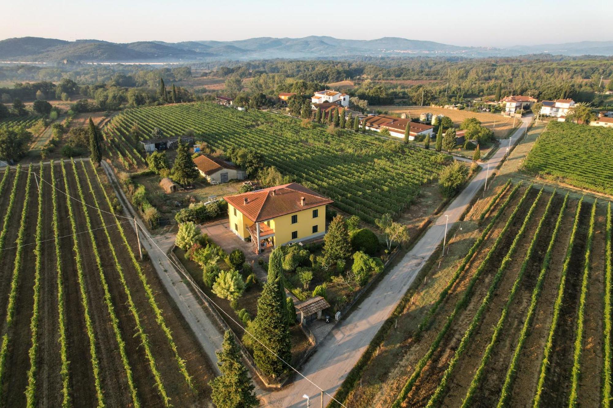 Cappannelle Country House Tuscany Castiglion Fibocchi Exterior foto