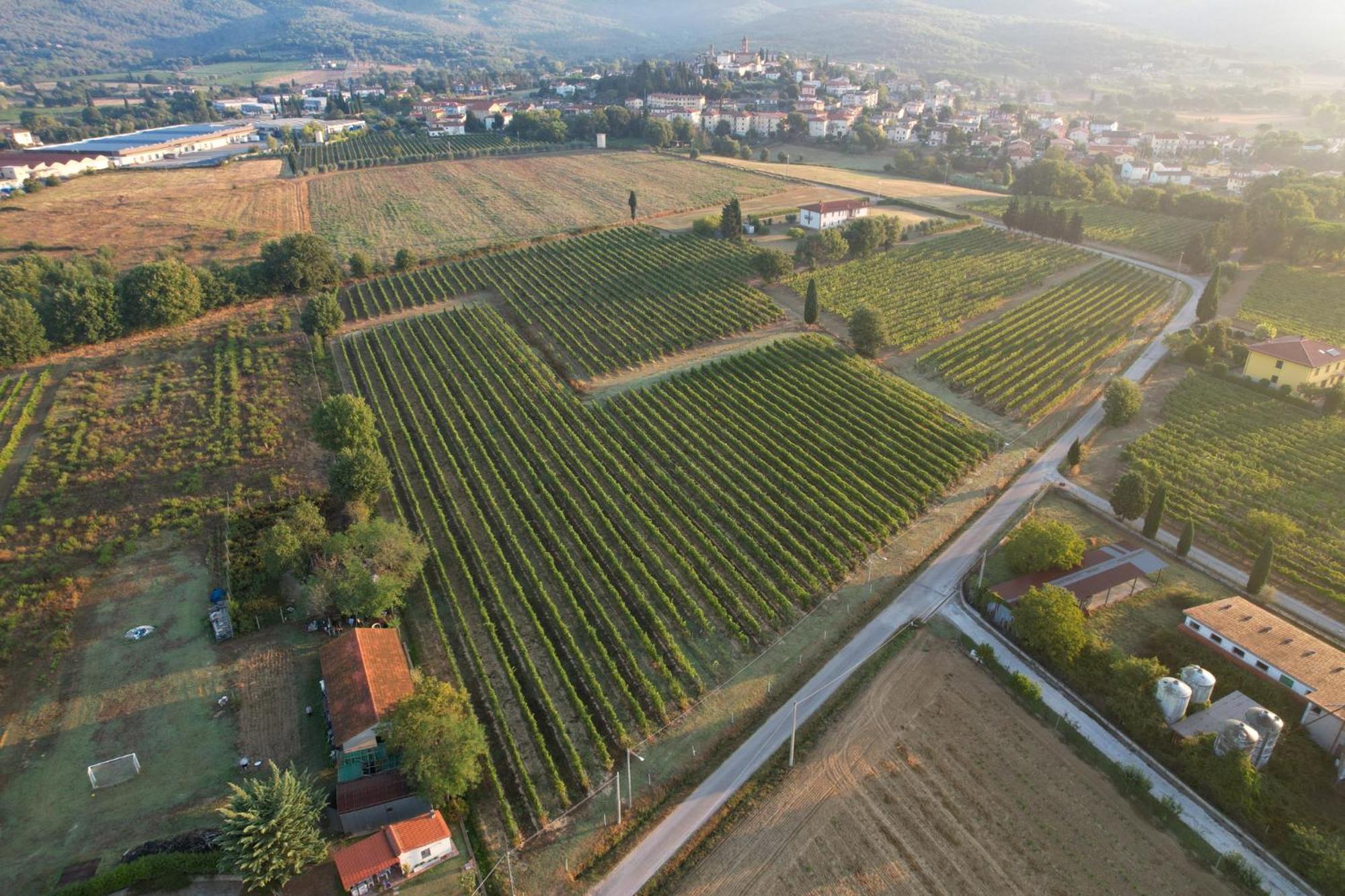 Cappannelle Country House Tuscany Castiglion Fibocchi Exterior foto