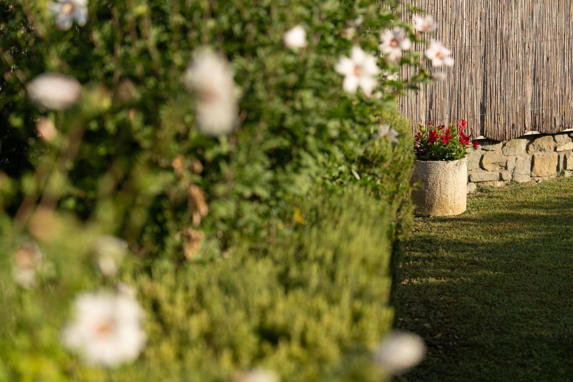 Cappannelle Country House Tuscany Castiglion Fibocchi Exterior foto