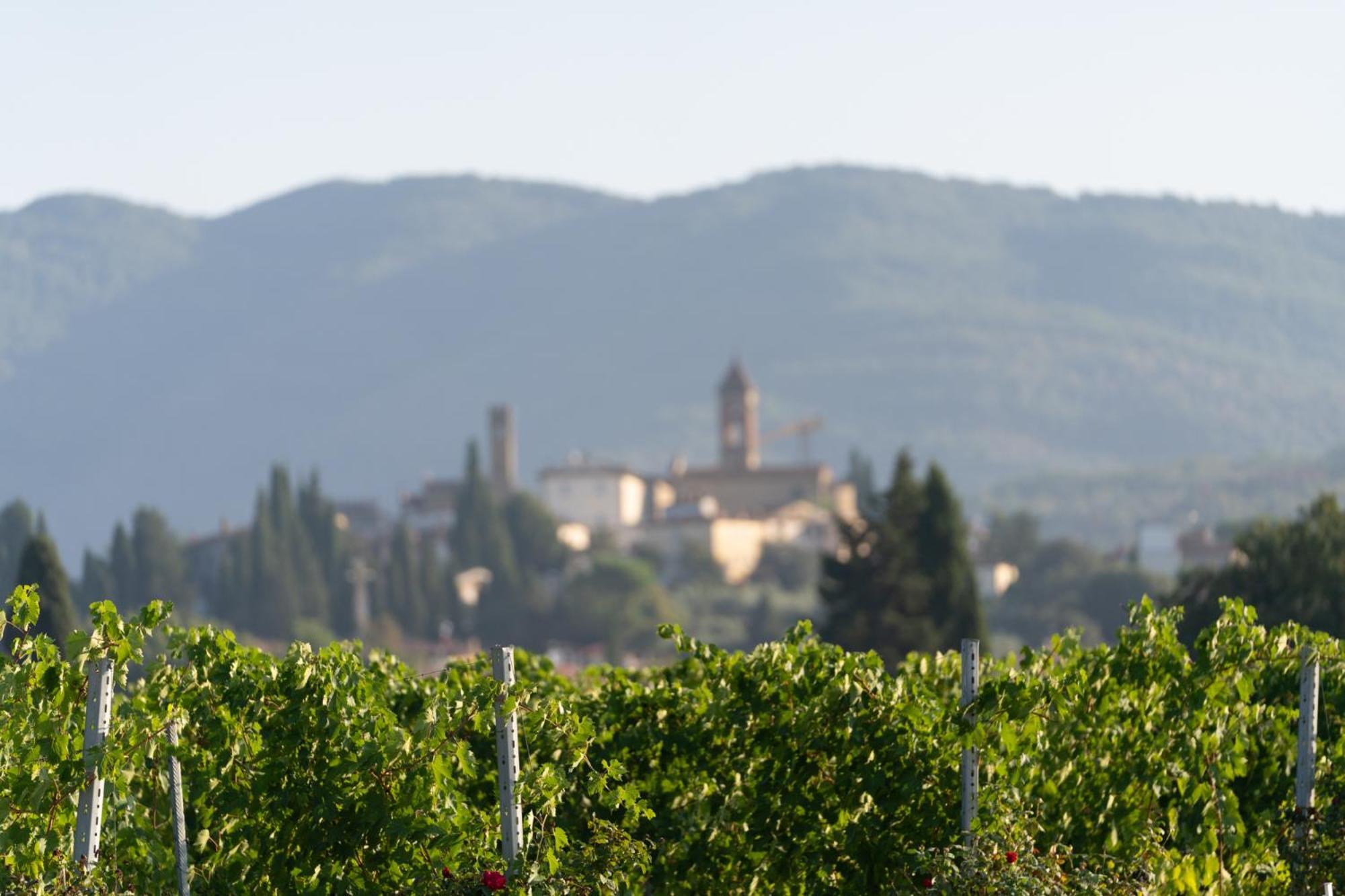 Cappannelle Country House Tuscany Castiglion Fibocchi Exterior foto